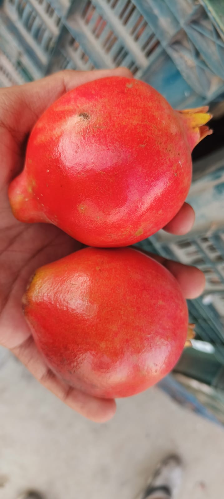 Fresh Pomegranate 