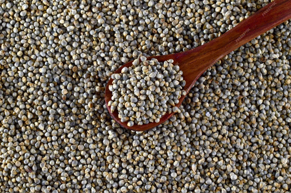 Pearl Millet