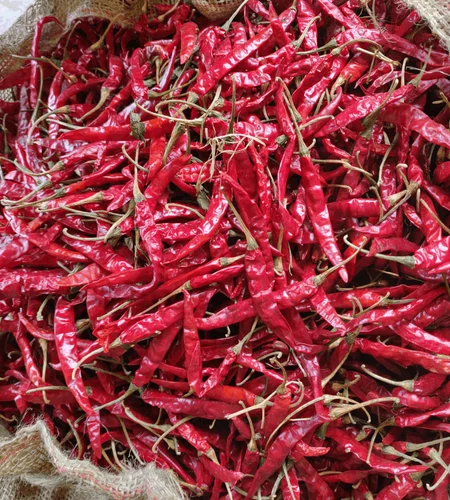 Red Chili