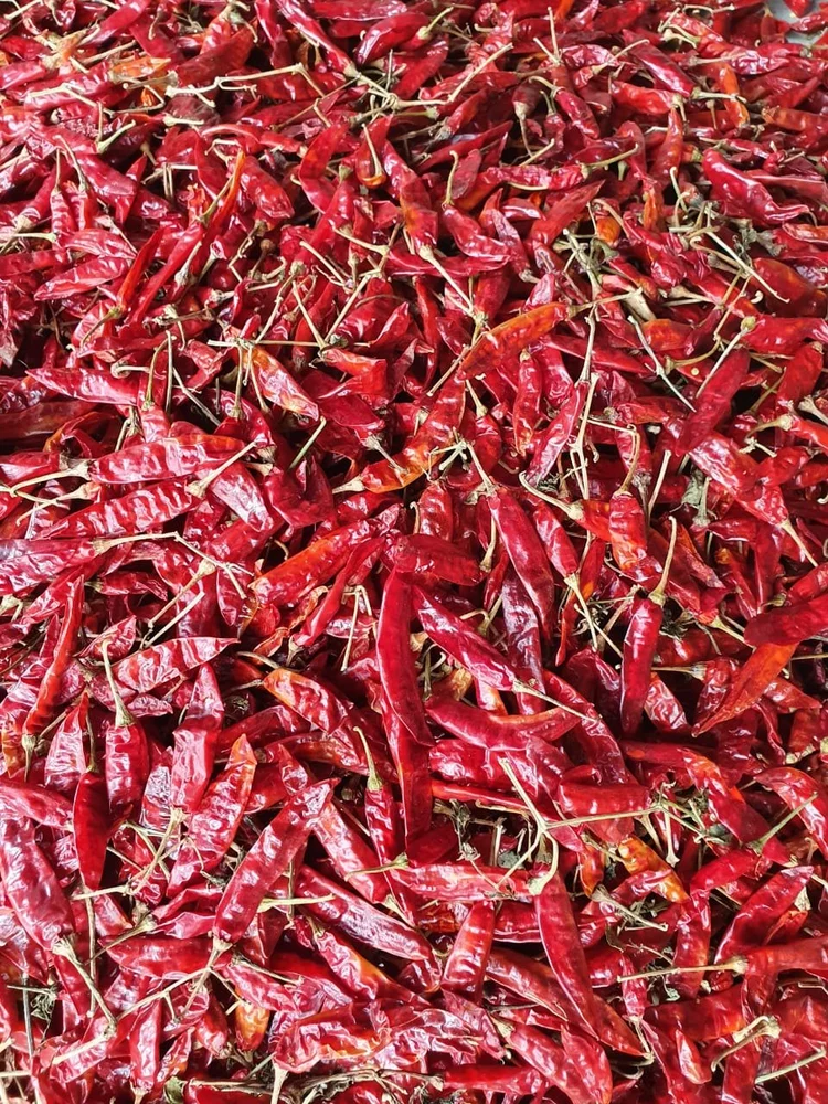 Red Chili
