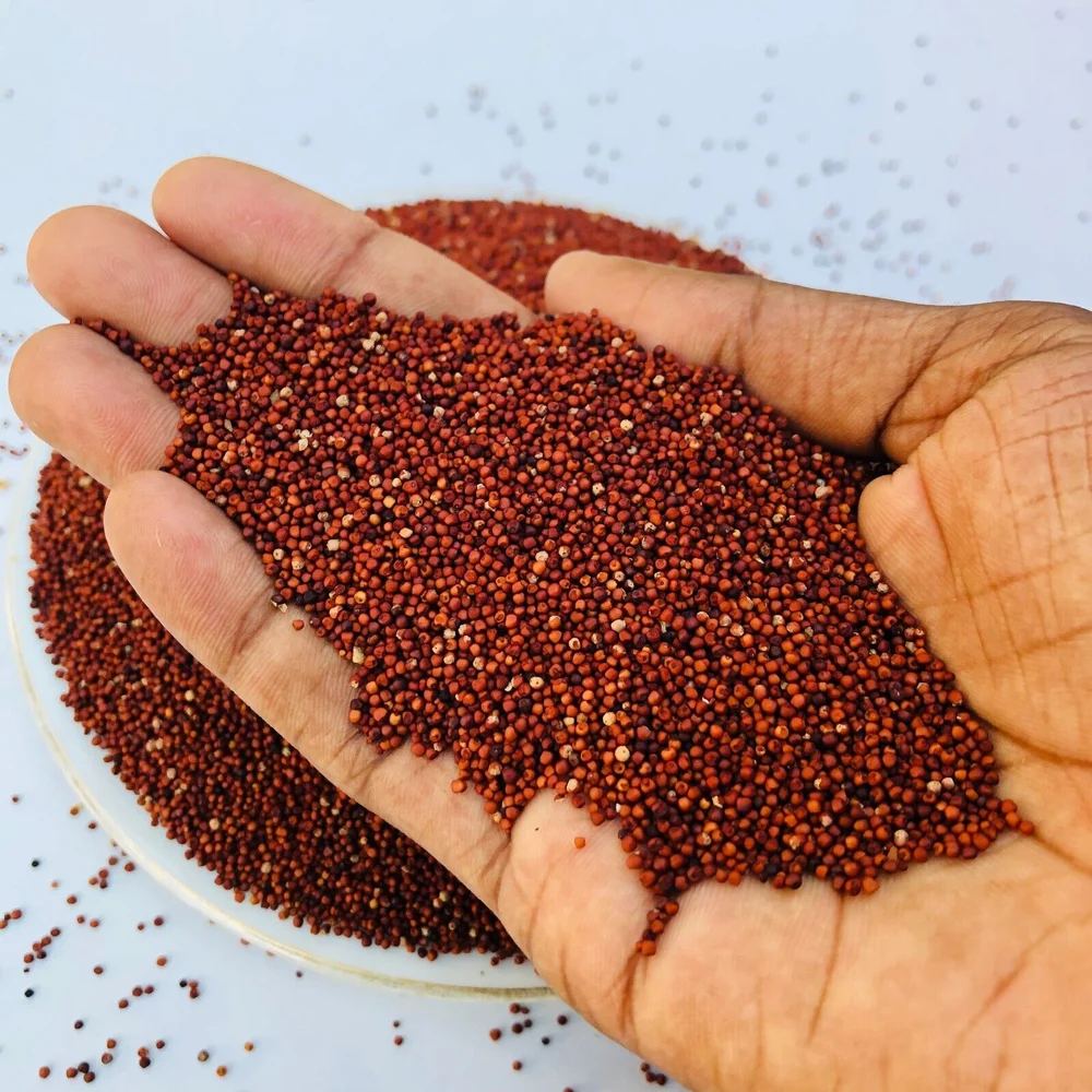Finger Millet
