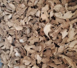 Ginger
