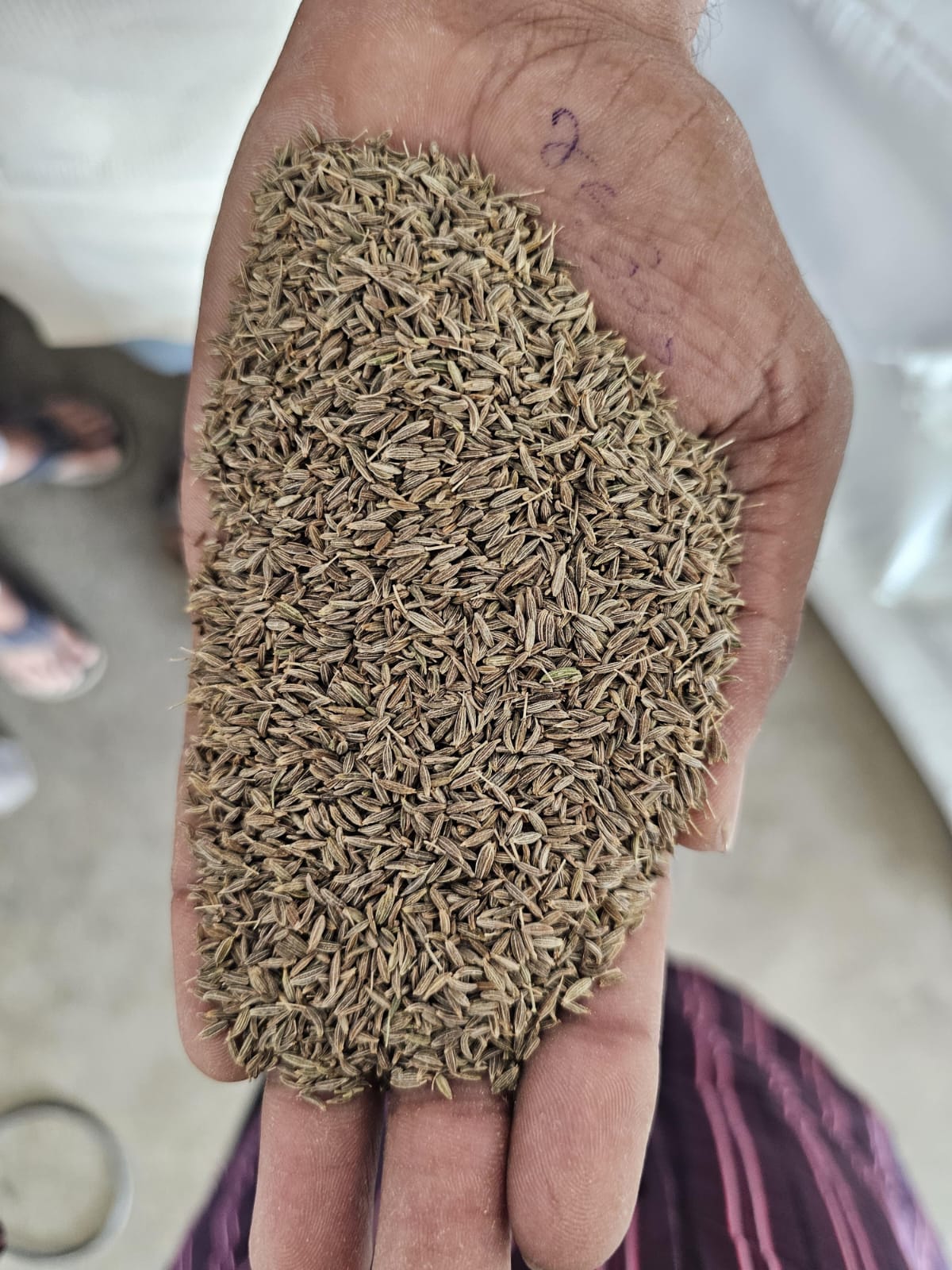 Cumin Seeds