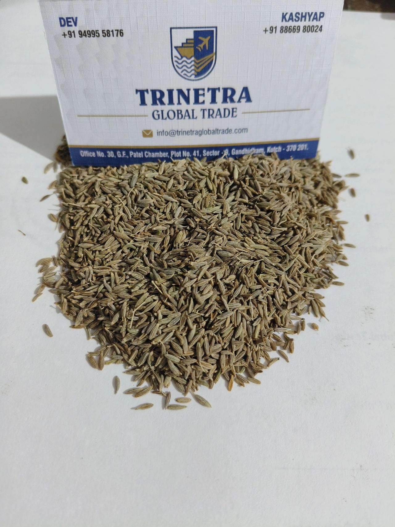 Cumin Seeds
