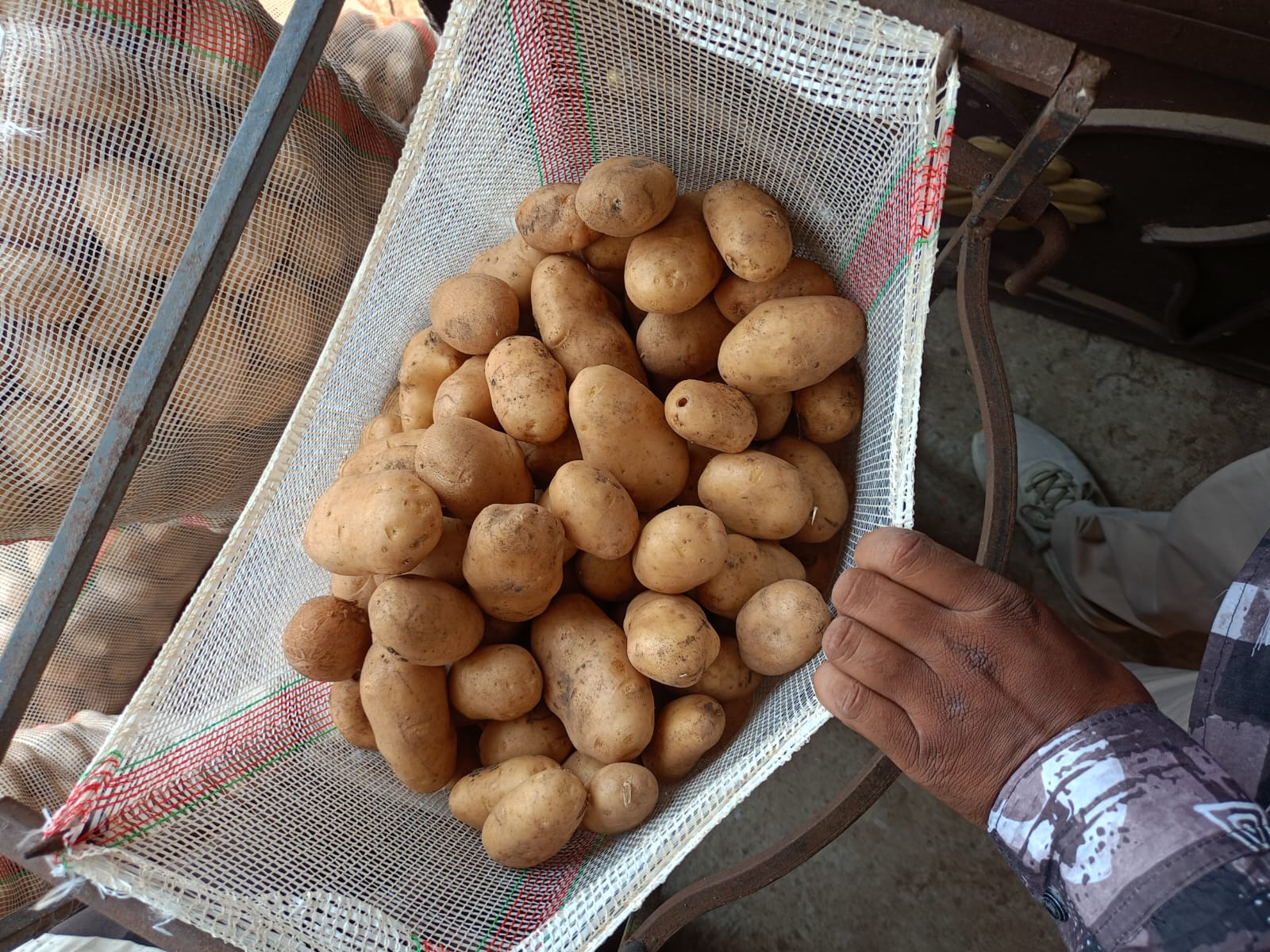 Potatoes