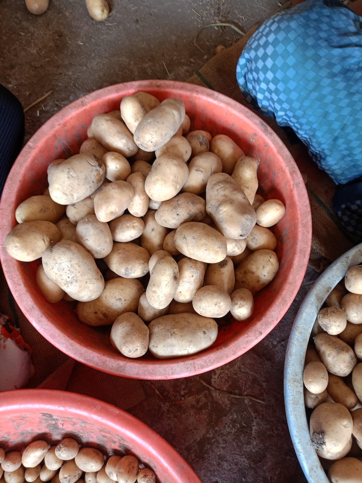 Potatoes