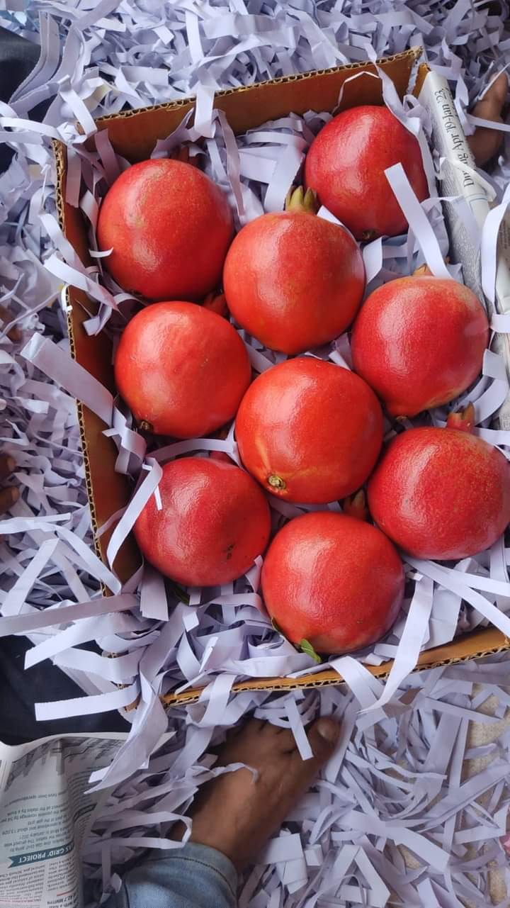 Fresh Pomegranate 
