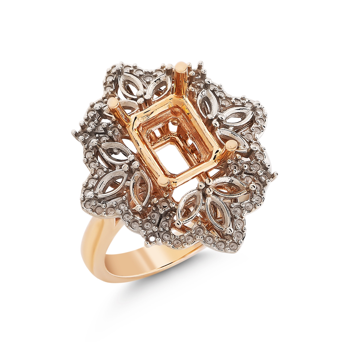 Elegant Diamond Ring Setting