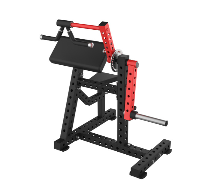 Triceps Extension Gym Fitness Strength Training Selected Triceps Extension Machine