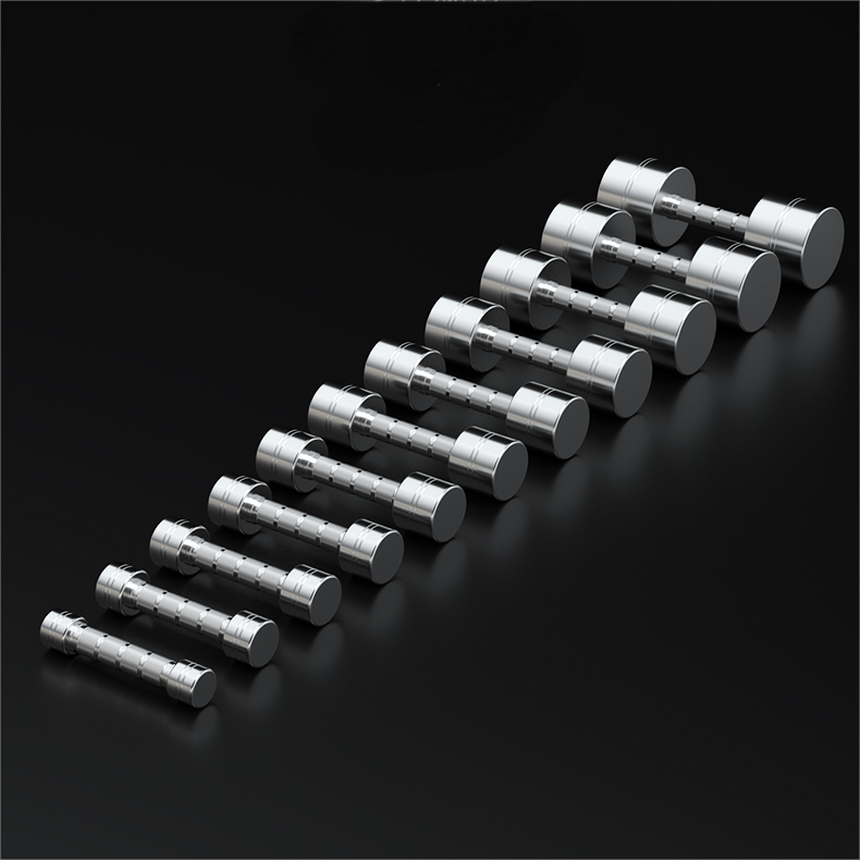 304 Stainless steel dumbbells men women fitness home models solid professional exercise strength training equipment