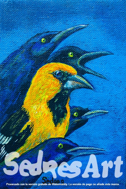 Colorful Bird Art