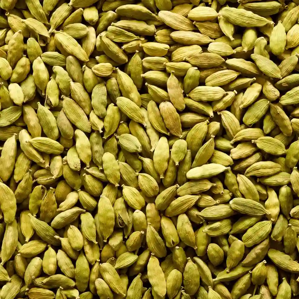 Premium Quality Indian Cardamom