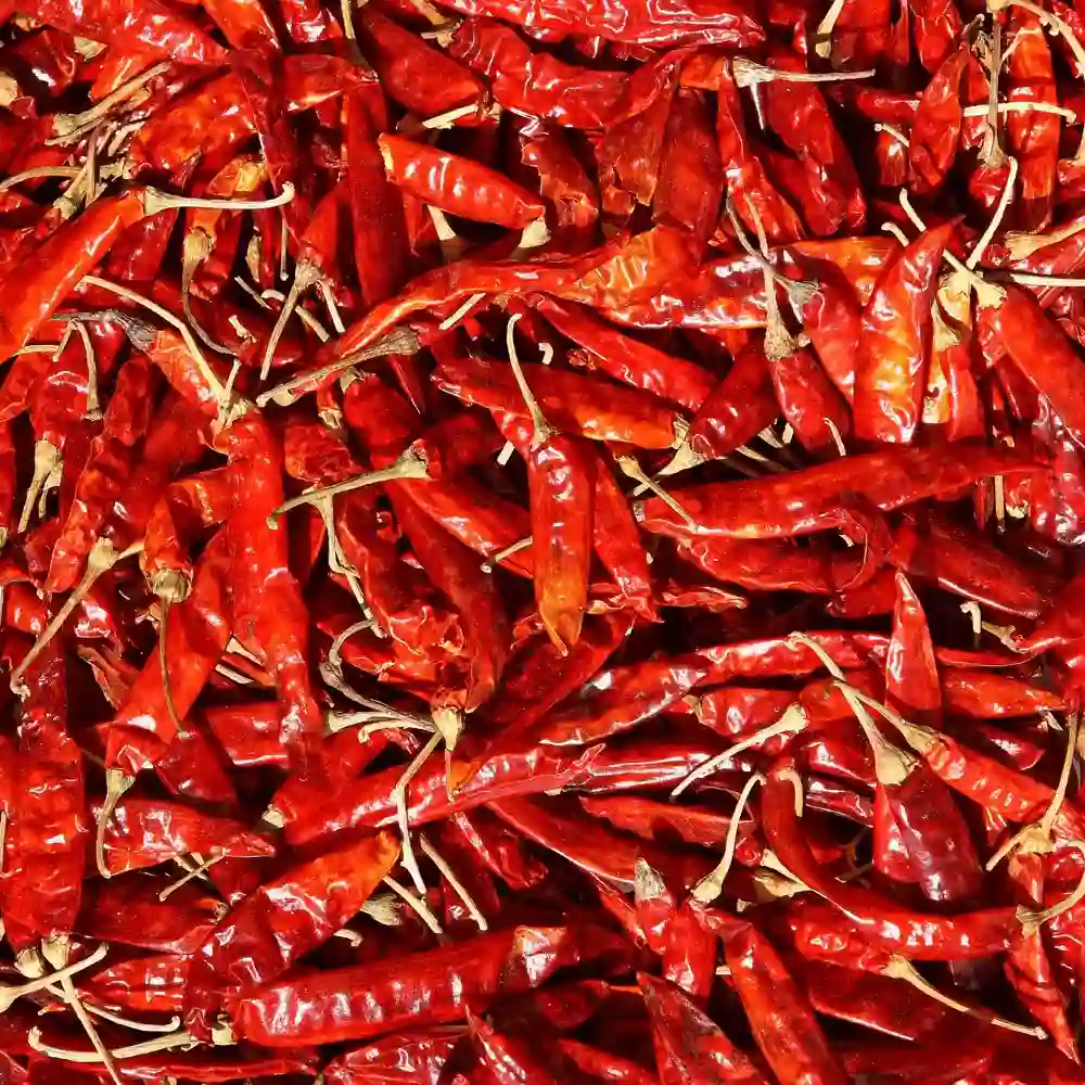 Premium quality Indian Chillies