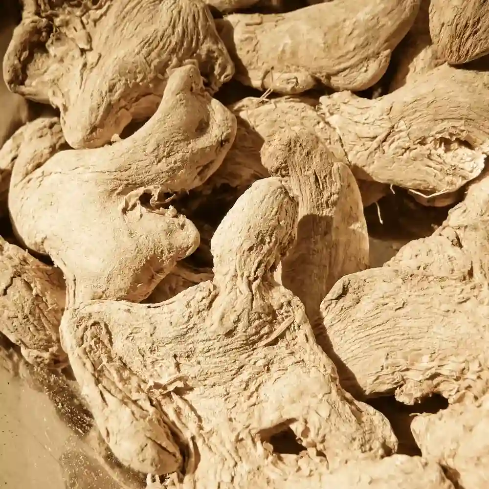 Premium Quality Indian Ginger