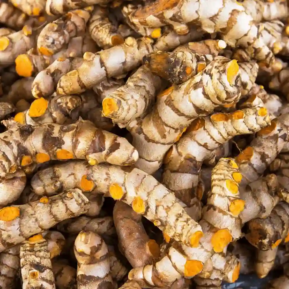 Premium Quality Indian Turmeric