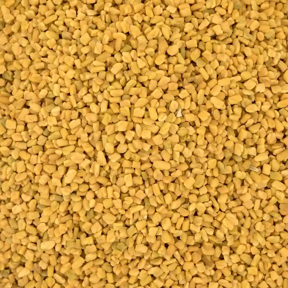 Fenugreek Seeds