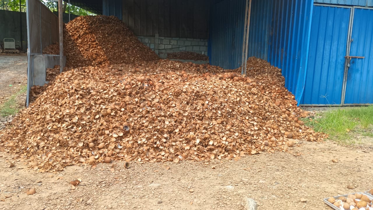 Large Pile of Dried Coconut Shells