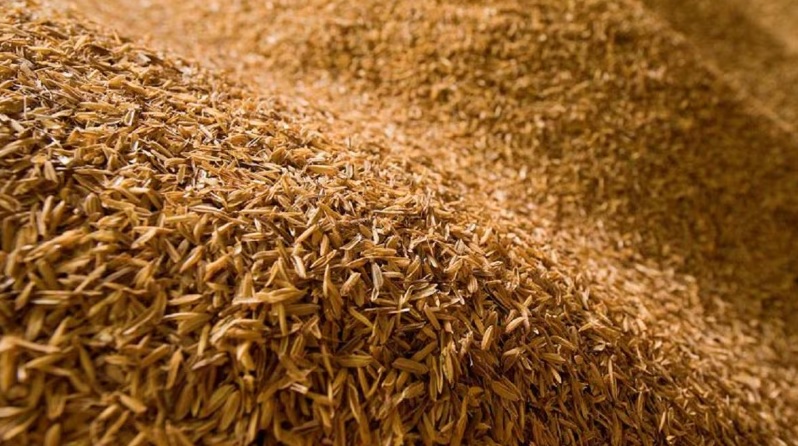 Rice Bran for Cattle feed