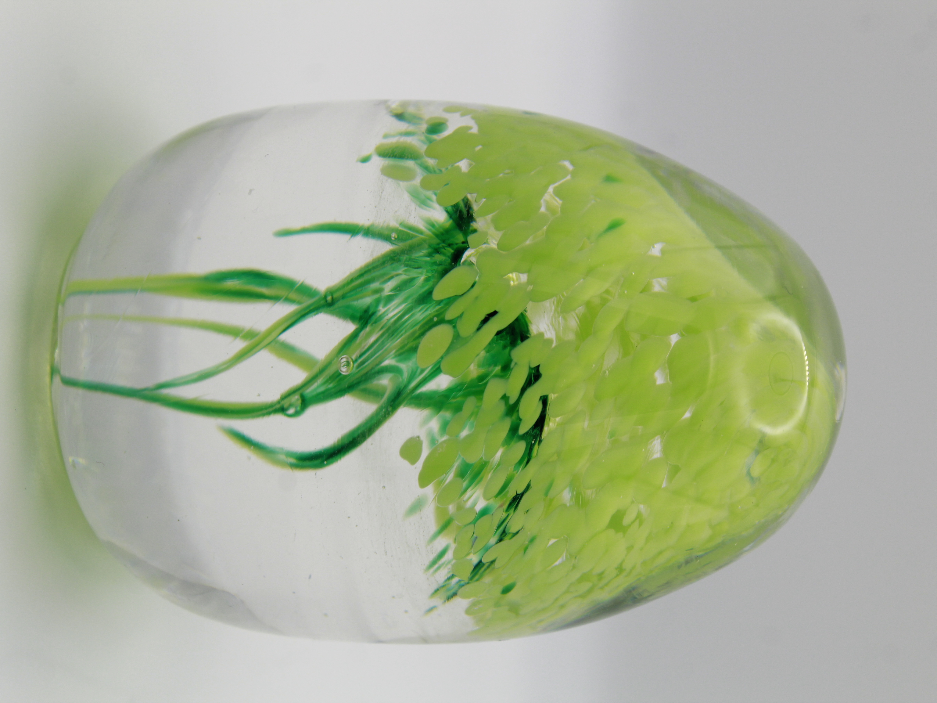 Green Glass Jellyfish