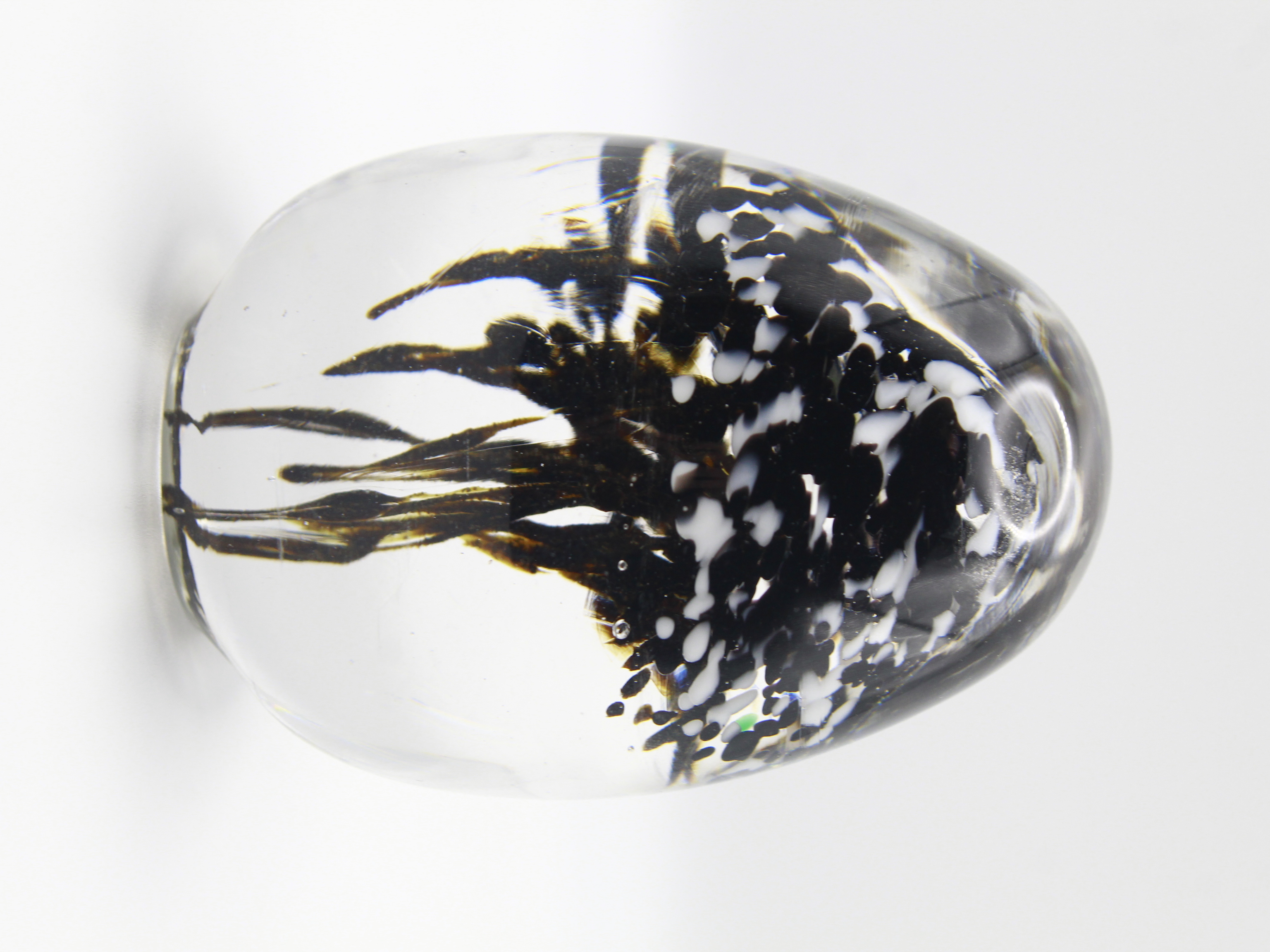Black Glass Jellyfish Sculpture