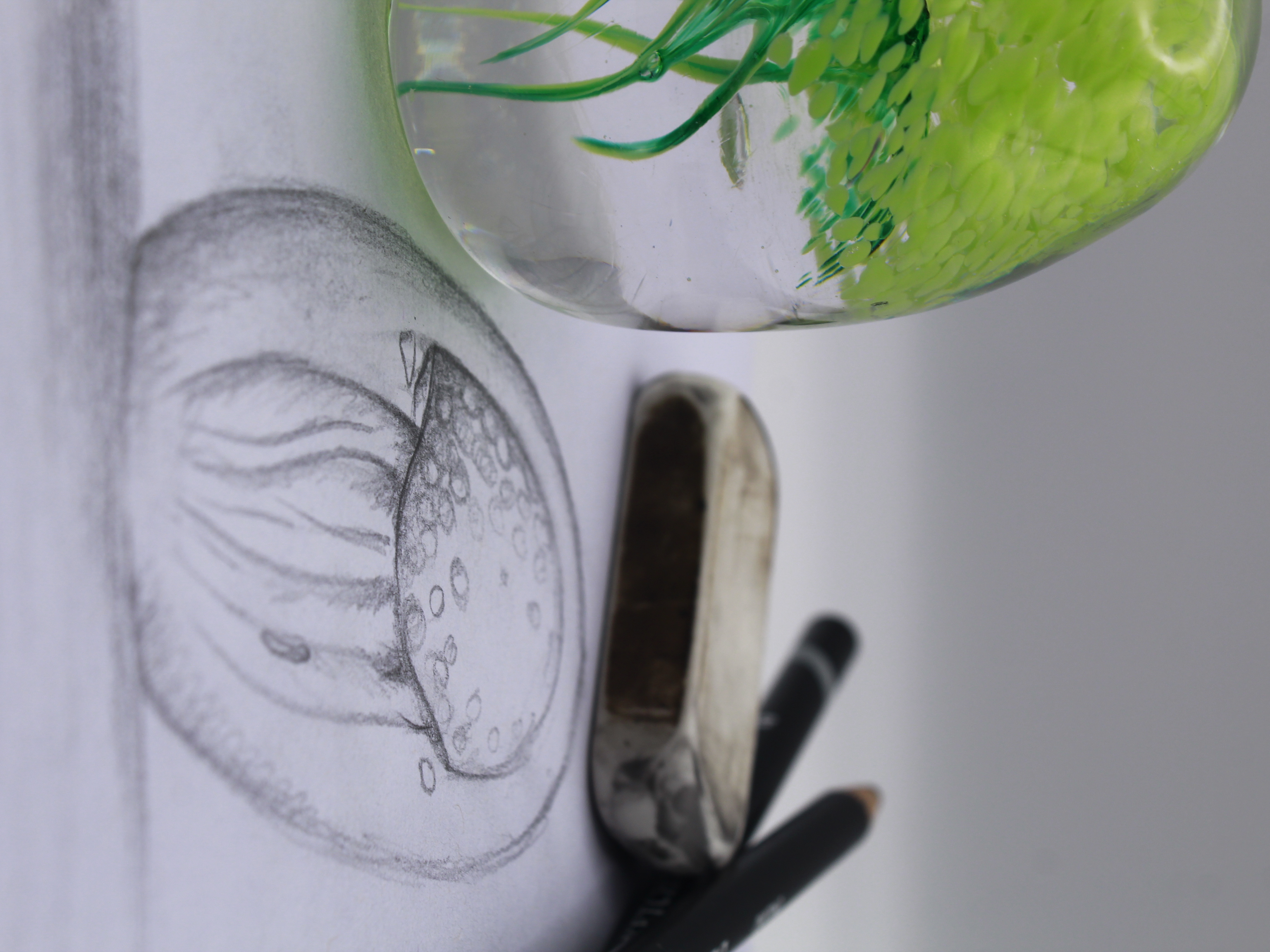 Green Glass Jellyfish