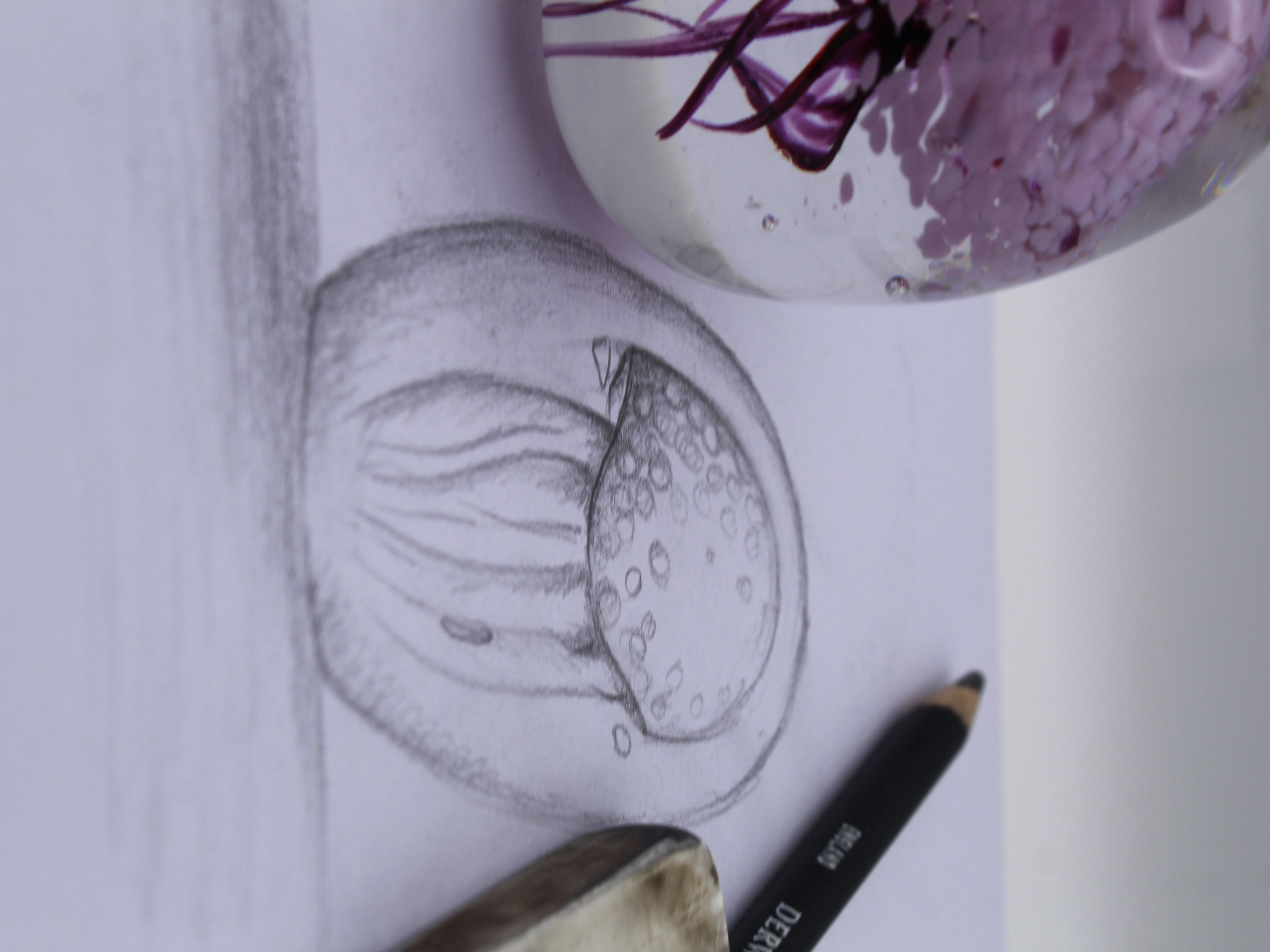 Purple Glass Jellyfish Sculpture