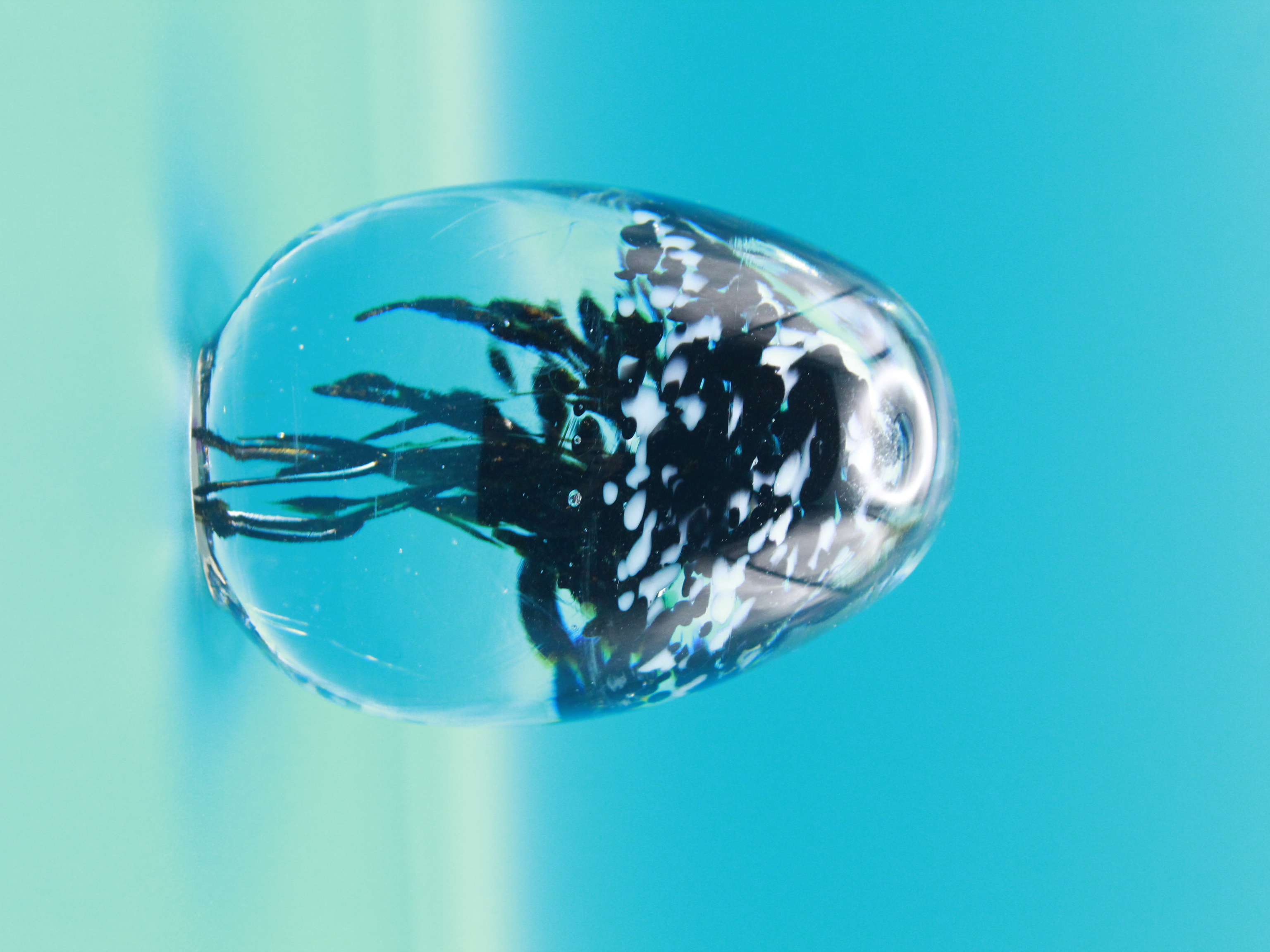 Black Glass Jellyfish Sculpture