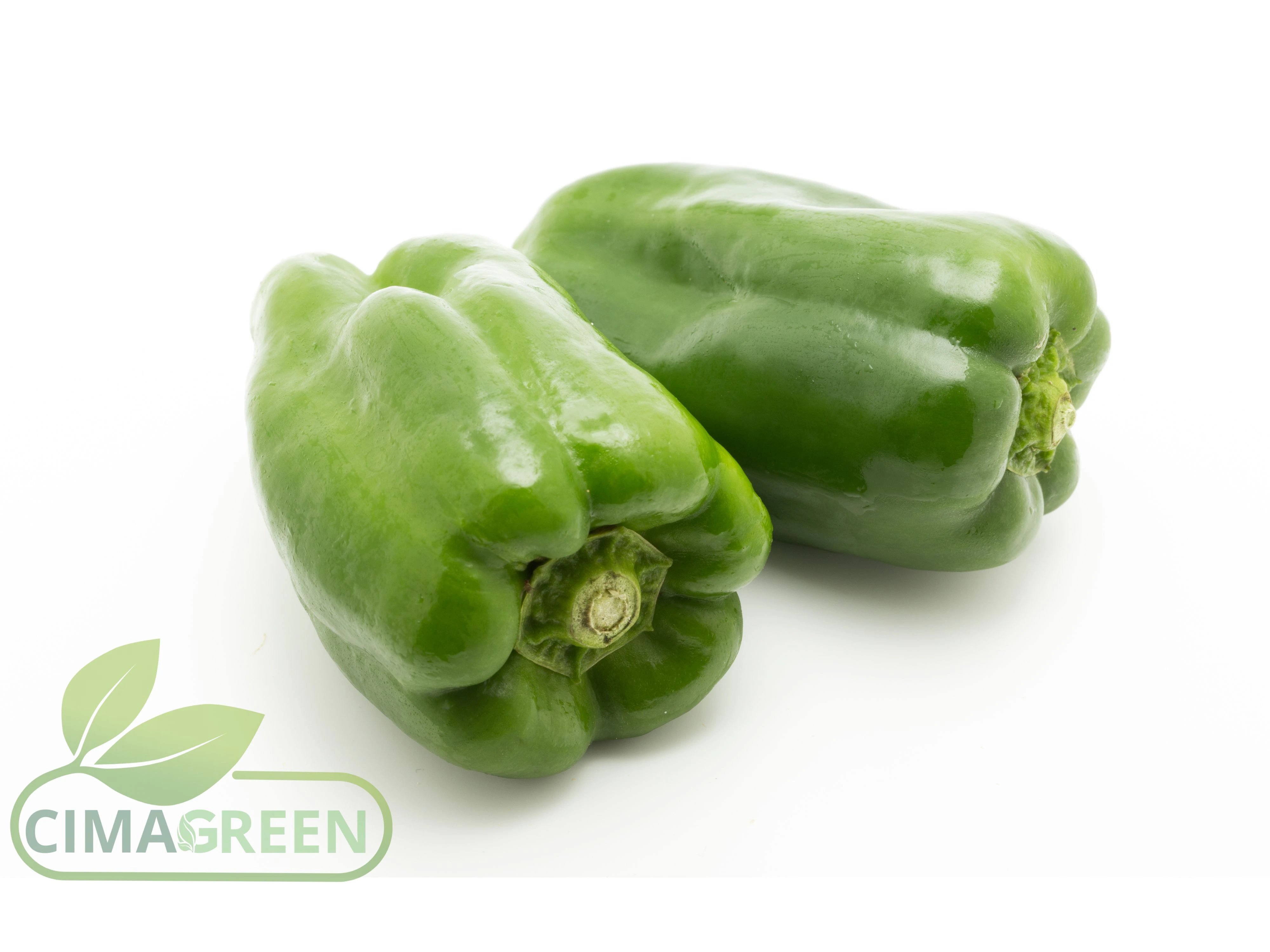Frische Paprika aus Spanien: California, Lamuyo und Italienische (lange süße)