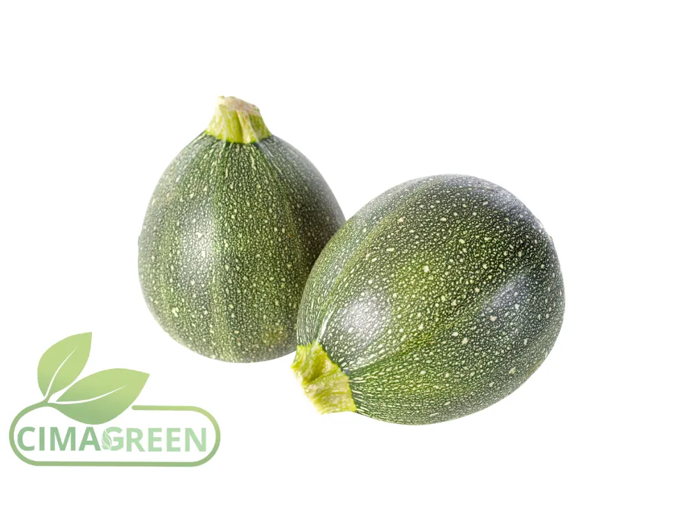 Frische spanische Zucchini: Schmal und Rund