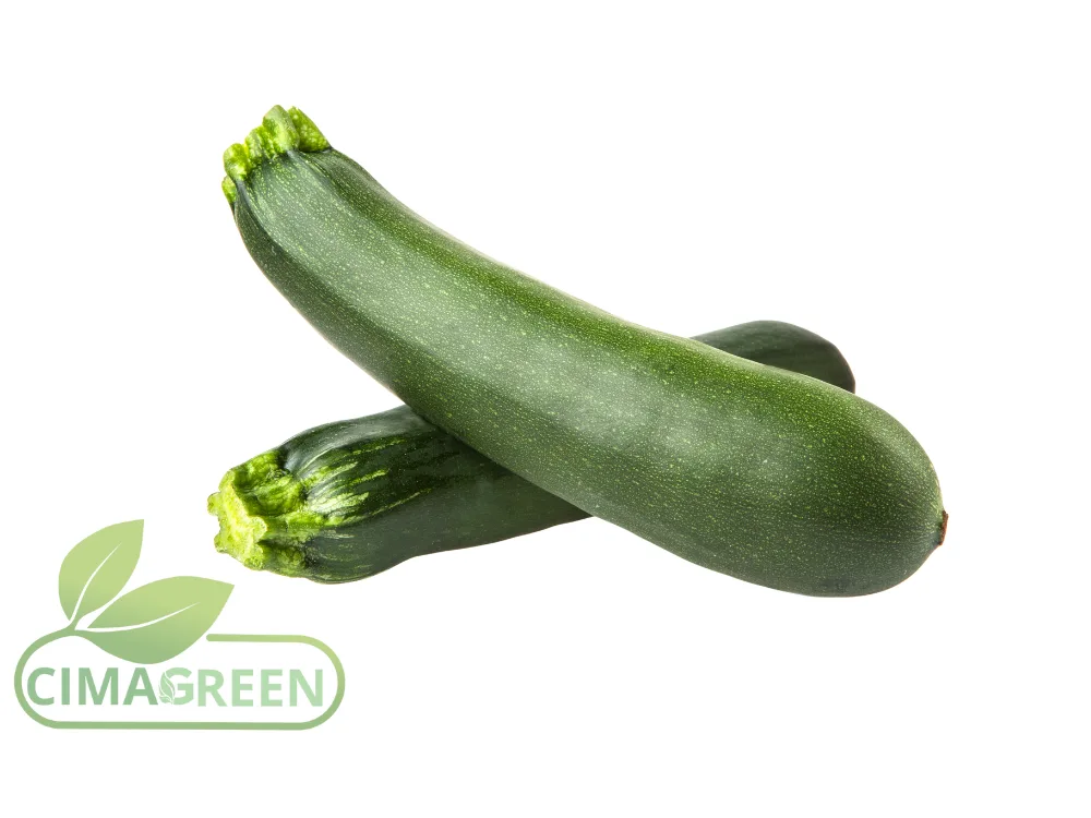 Frische spanische Zucchini: Schmal und Rund