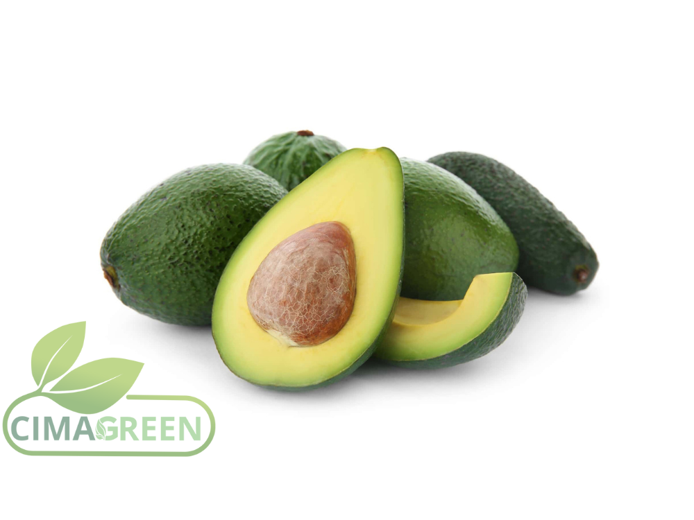 Hass-Avocado aus Marokko: Hochwertige Qualität