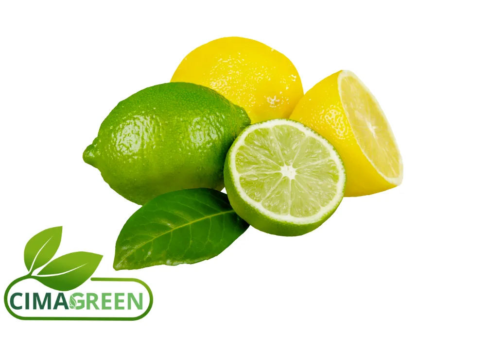 Limones de España: Verna y Fino (Primofiori)