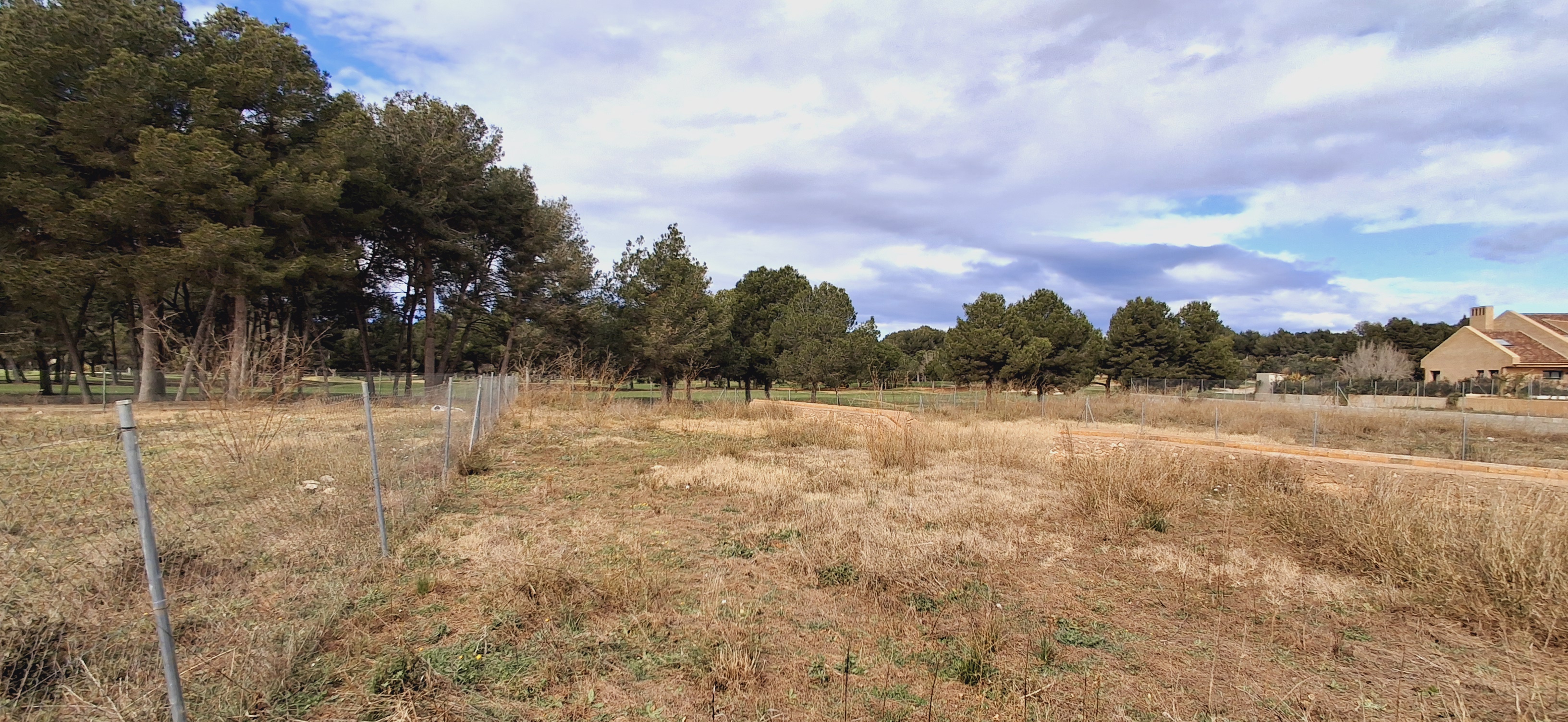 Plot in Bétera, Valencia