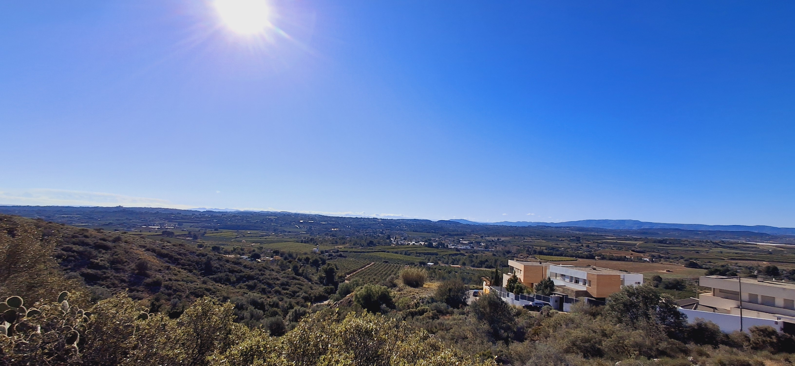 Plot in Torrent, Valencia
