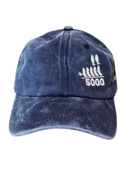 Gorra Vintage Bordada