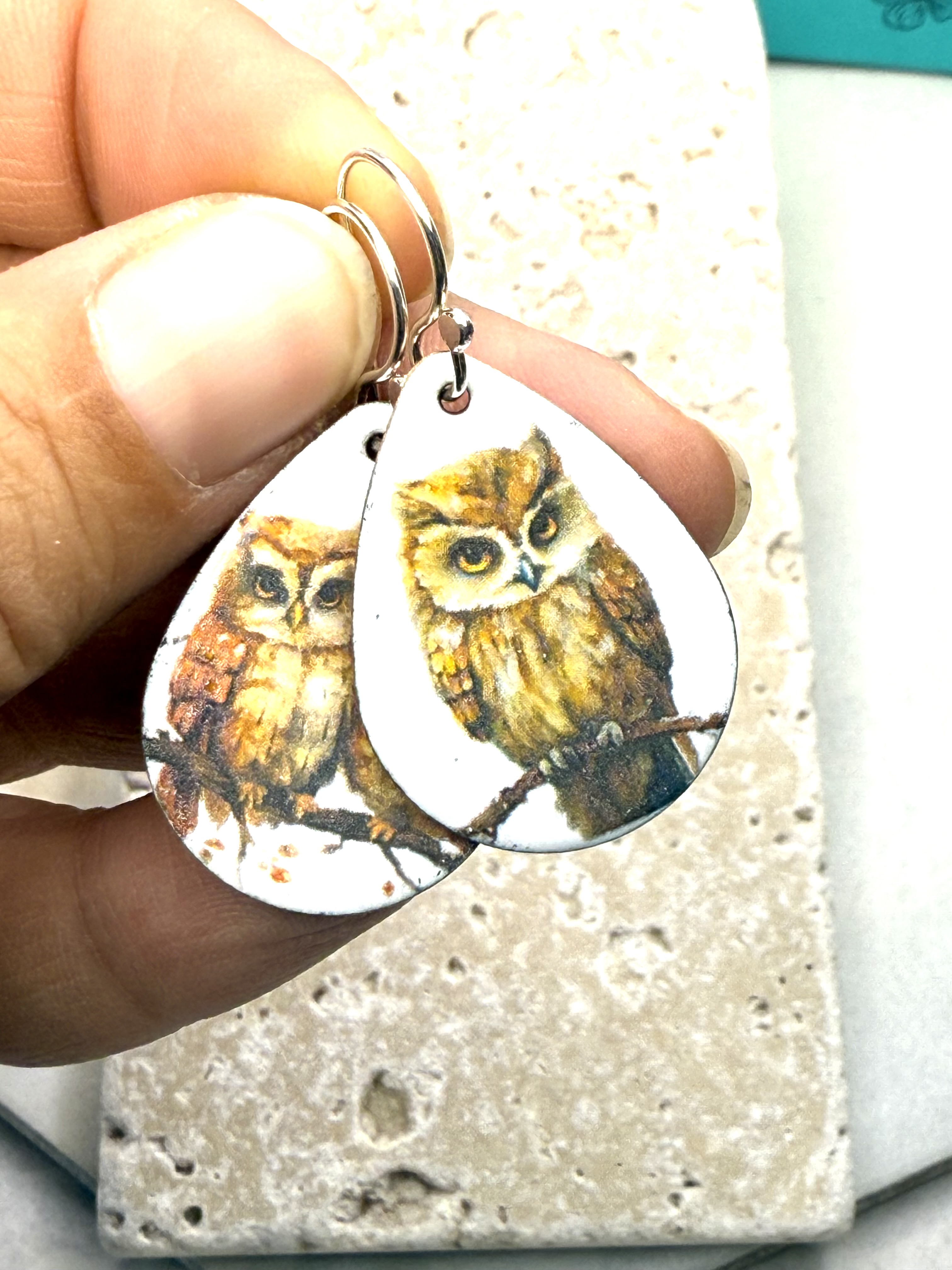 Owl  Earrings