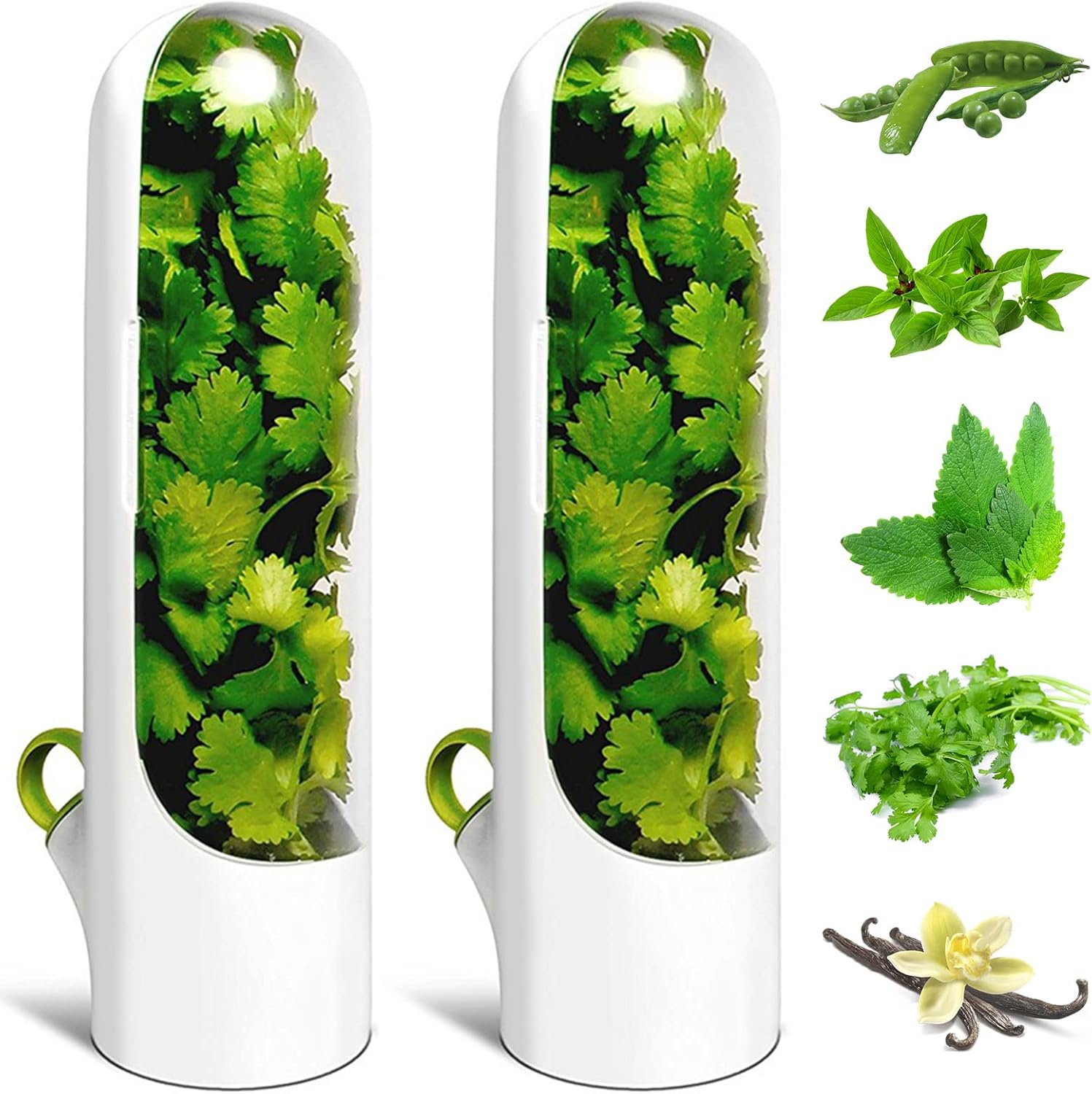 Recipiente Conservador De Verduras Hierbas Flores Envase nevera