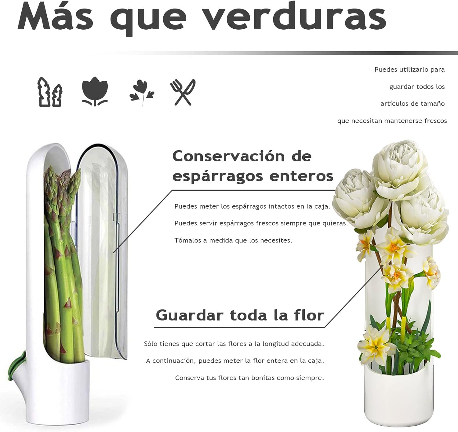 Recipiente Conservador De Verduras Hierbas Flores Envase nevera