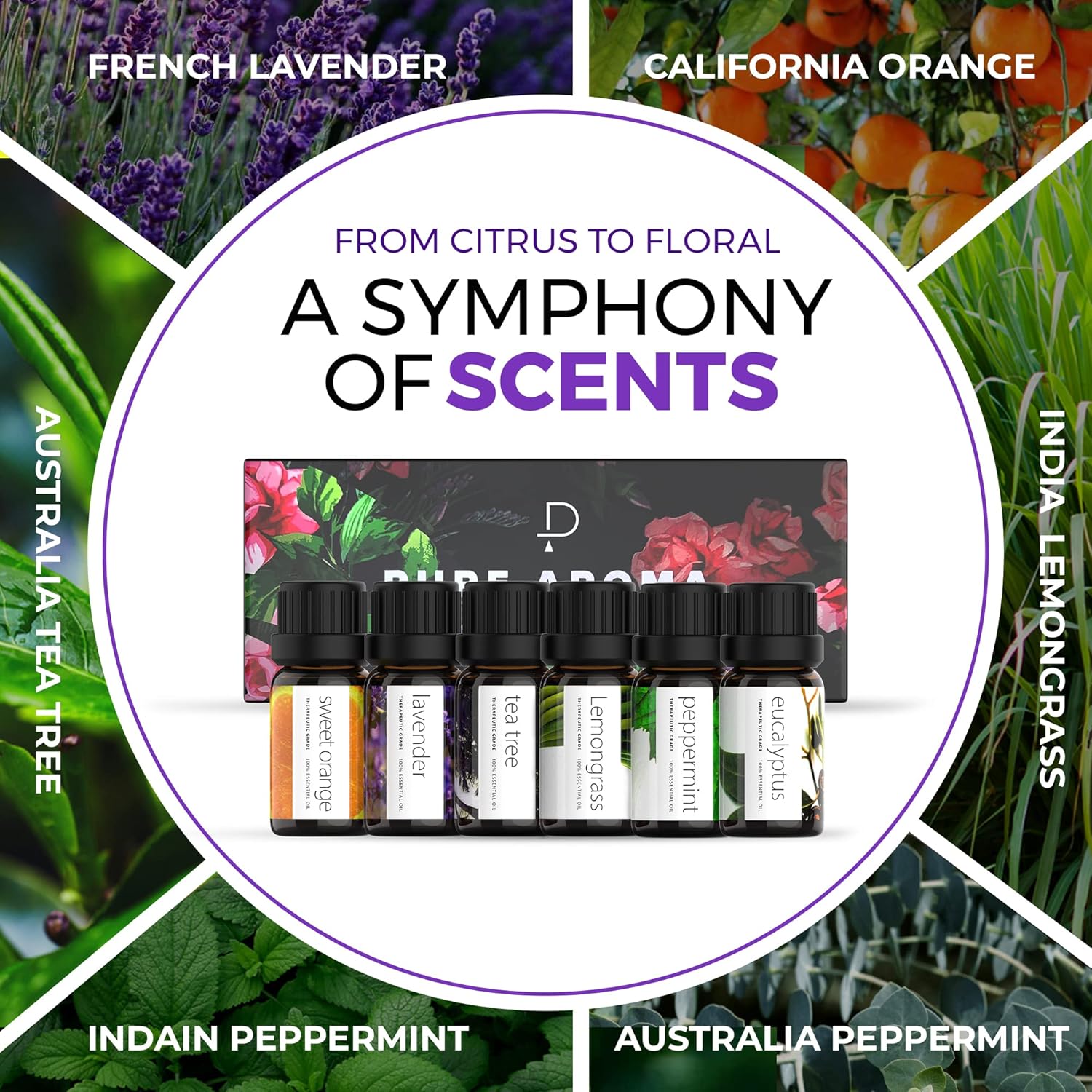 Esencias Aromáticas Aceites Para Humificador Difusor Set X6 PURE AROMA