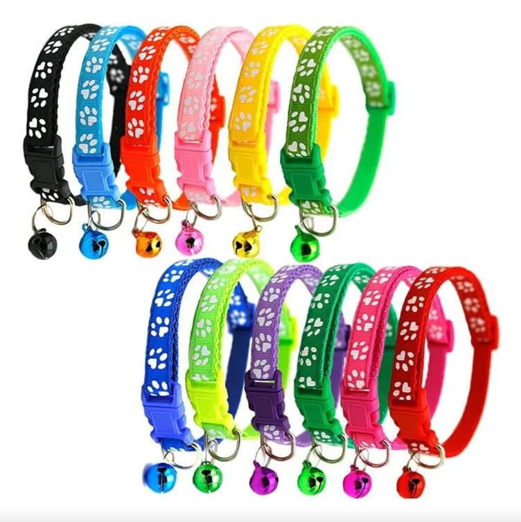 Collar y cuerda Para Mascota Ajustable Perro Gato Raza Talla Pequeña
