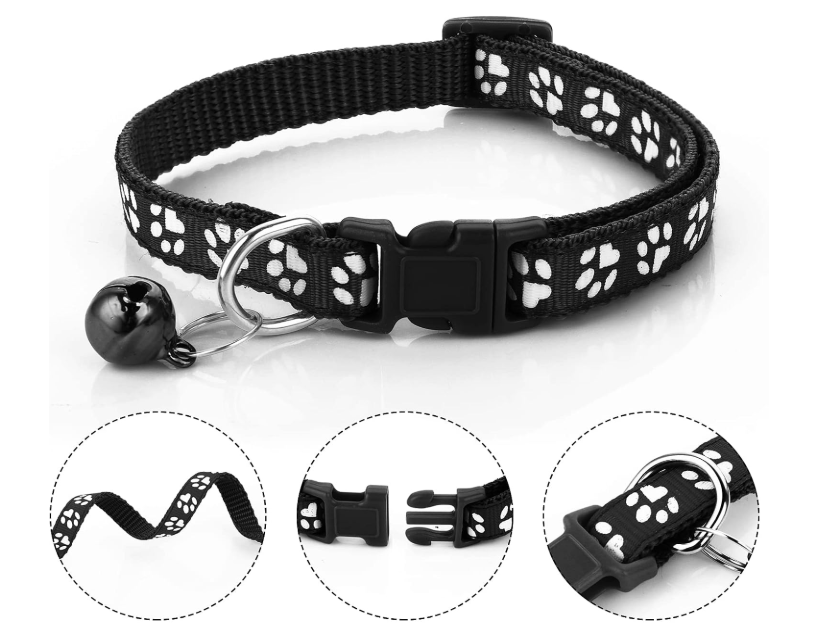 Collar y cuerda Para Mascota Ajustable Perro Gato Raza Talla Pequeña
