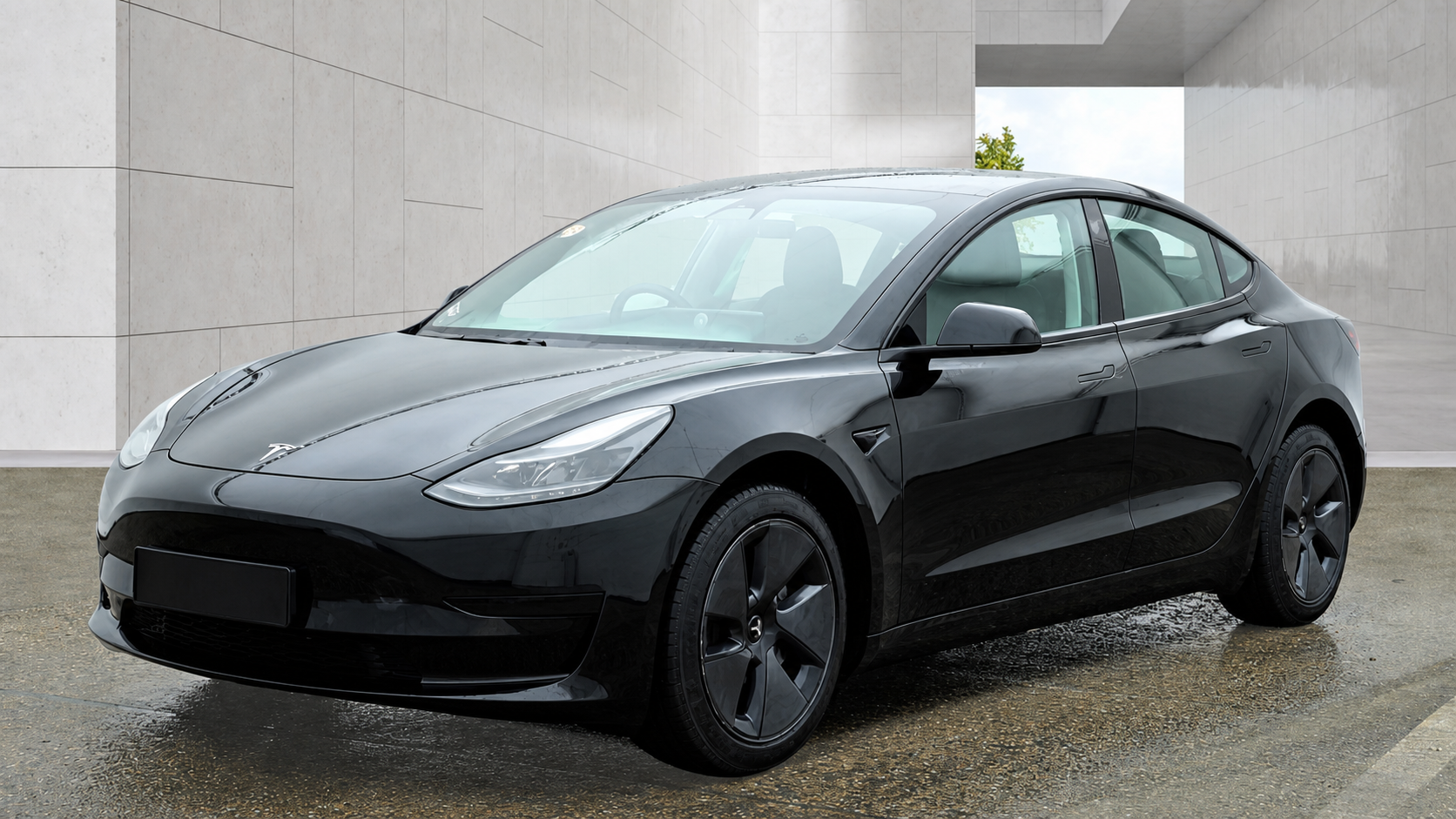 Tesla Model Standard Plus - 2022