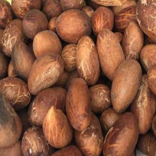 Fresh Organic Bitter Kola (Garcinia Kola from West Africa) 12 pieces