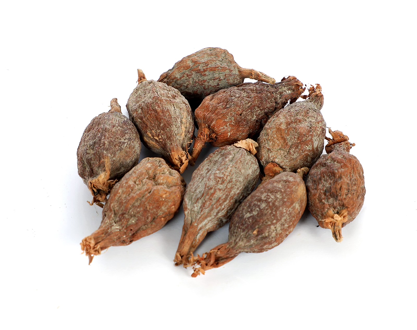 African organic alligator pepper atare, grain of paradise pods, Guinea pepper, Mbongo spice
