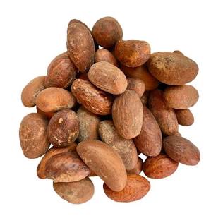 Fresh Organic Bitter Kola (Garcinia Kola from West Africa) 12 pieces