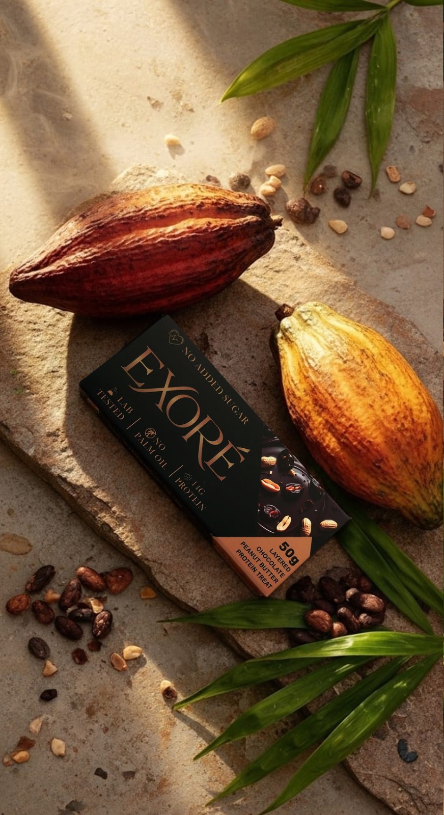 Exoré Layered Chocolate  Peanut Butter Protein Treat (Pack of 2)