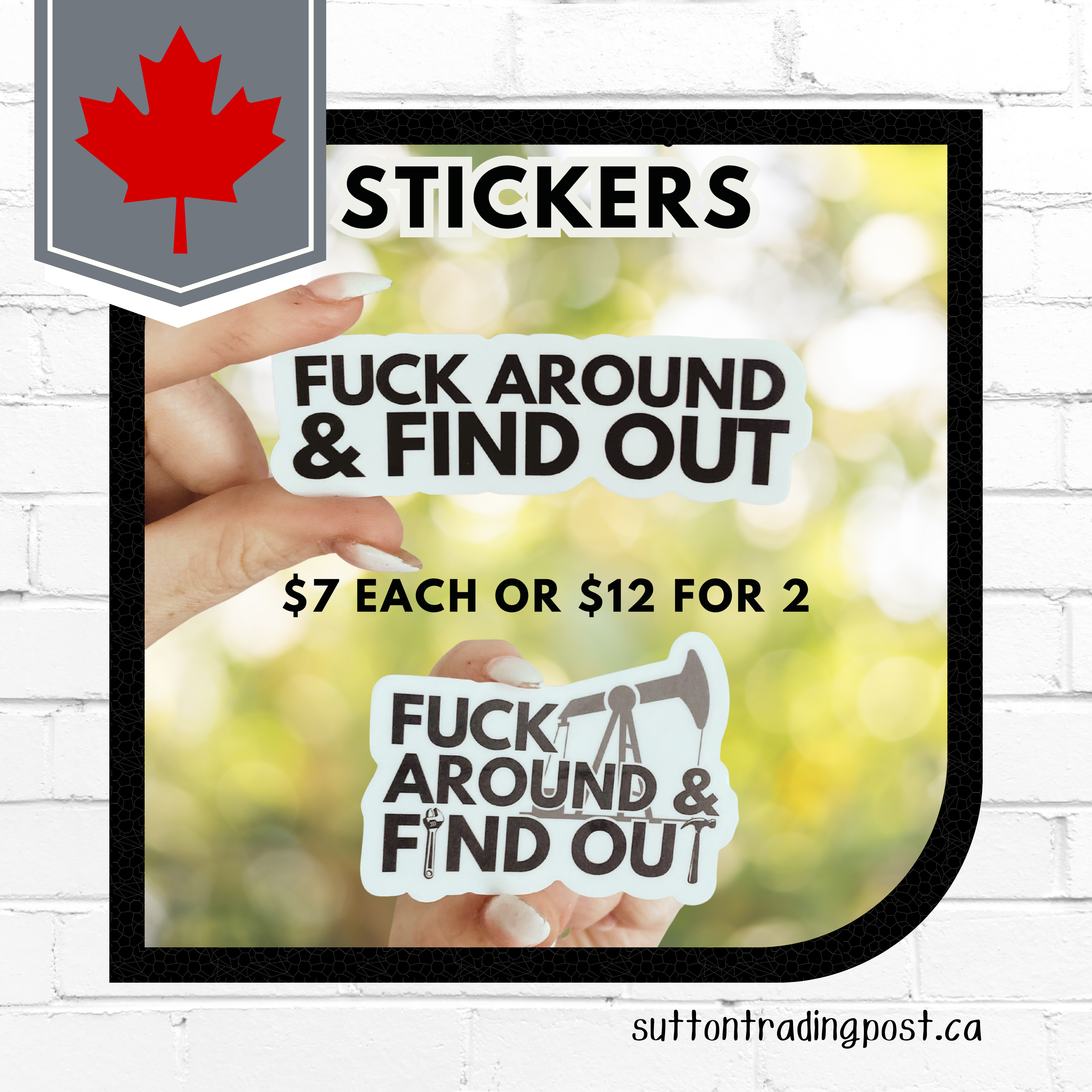 Fuck Around & Find Out Stickers