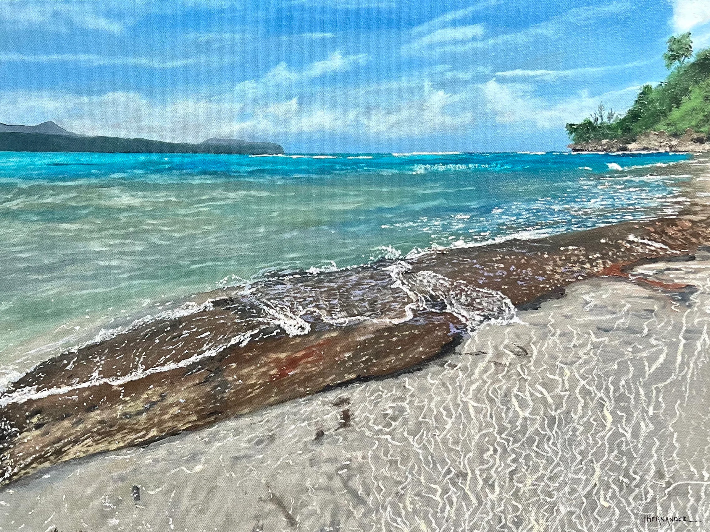 Dominican Republic Caribbean Seas
