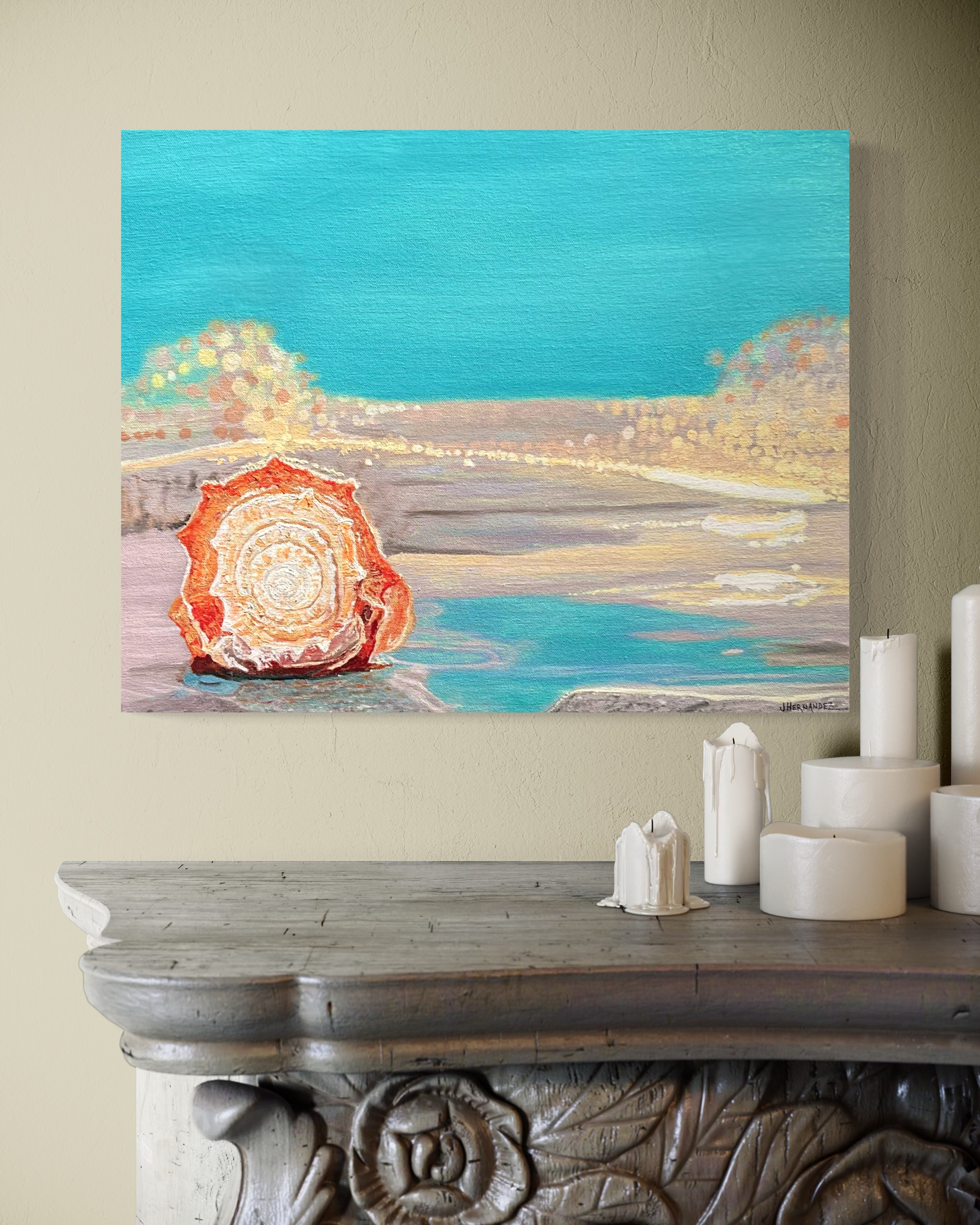 Seashell Turquoise Shore 