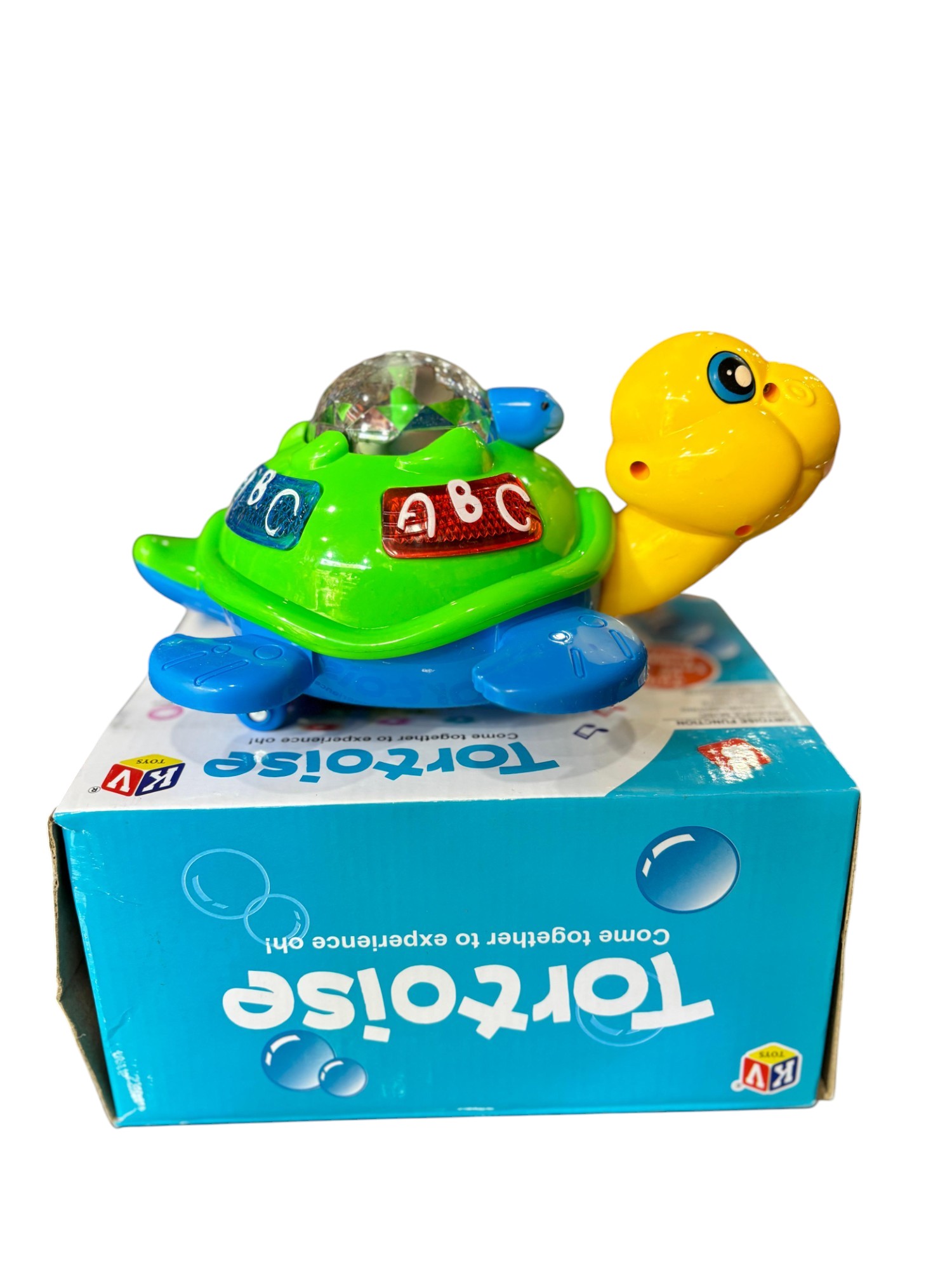 Tortoise Toy